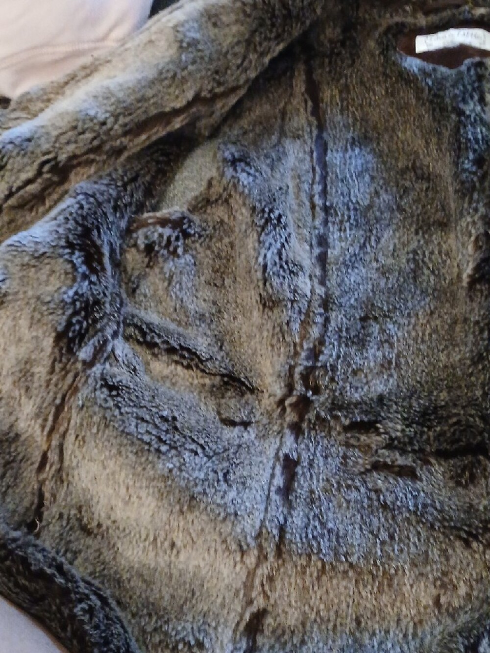 Live a Little Brown Faux Fur Trim Suede Sleeveless Vest - Picture 4 of 8
